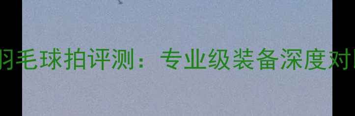 图片 尤尼克斯最新羽毛球拍评测：专业级装备深度对比与选购指南2