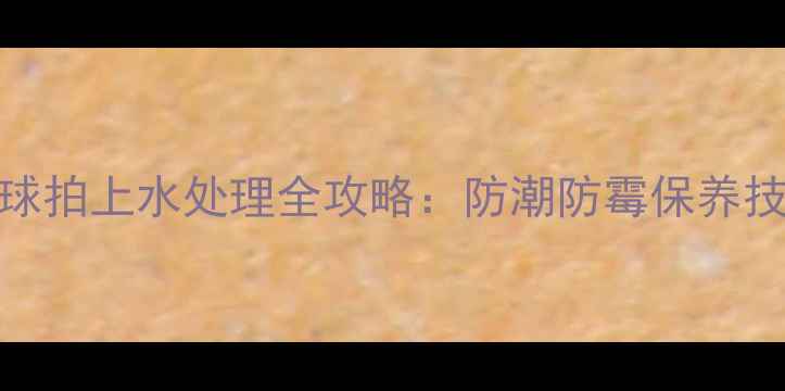 图片 尤尼克斯羽毛球拍上水处理全攻略：防潮防霉保养技巧与选购指南