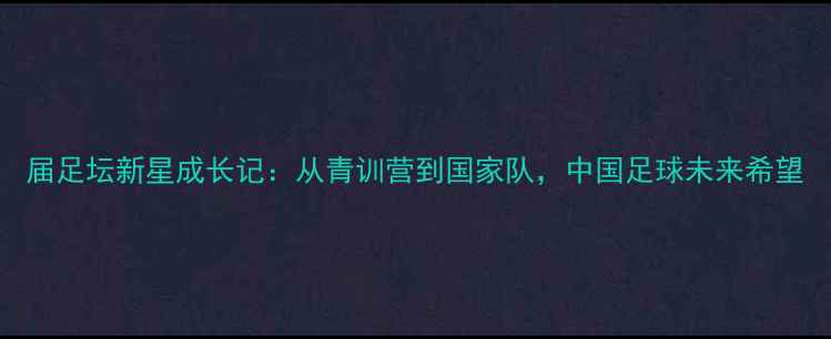 图片 届足坛新星成长记：从青训营到国家队，中国足球未来希望