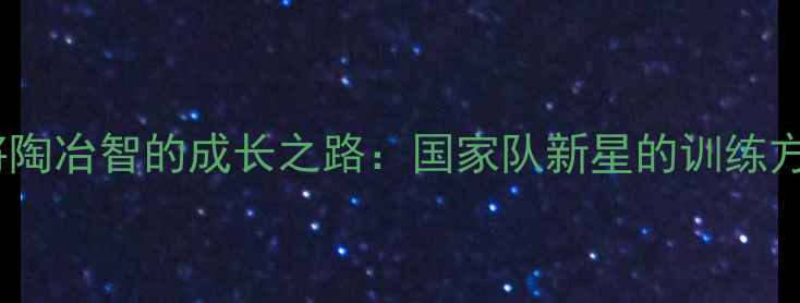 图片 山东羽毛球名将陶冶智的成长之路：国家队新星的训练方法与成功秘诀1