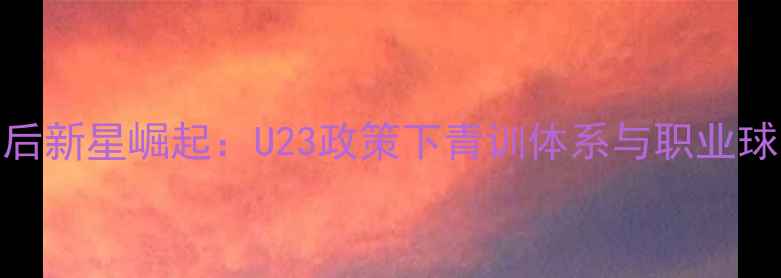 图片 山东鲁能95后新星崛起：U23政策下青训体系与职业球员成长路径
