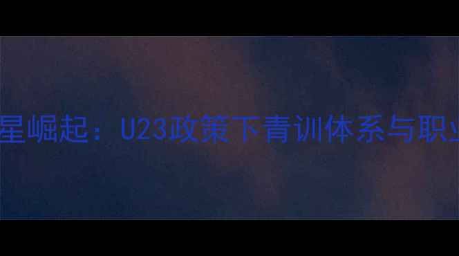 图片 山东鲁能95后新星崛起：U23政策下青训体系与职业球员成长路径1