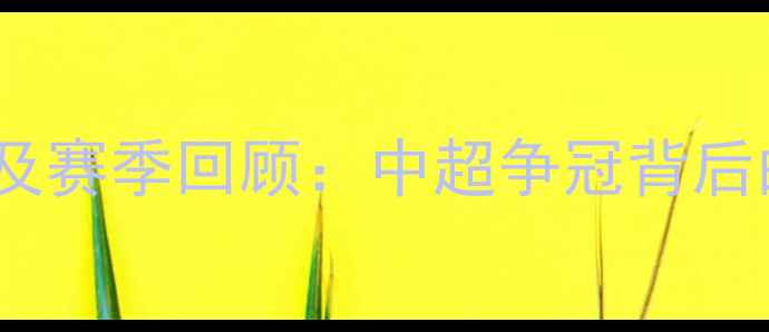 图片 山东鲁能赛季球员名单及赛季回顾：中超争冠背后的战术革新与球星表现1