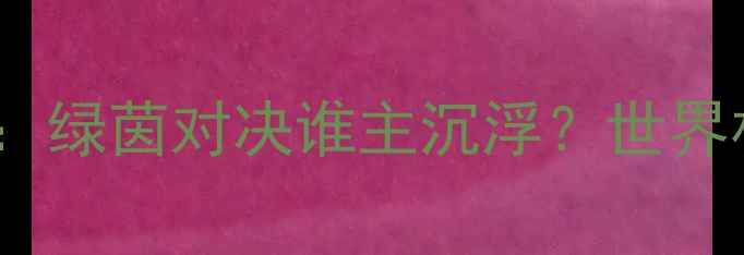图片 巴拿马vs爱尔兰最新战况：绿茵对决谁主沉浮？世界杯预选赛关键战深度复盘1