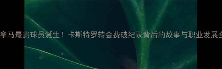 图片 巴拿马最贵球员诞生！卡斯特罗转会费破纪录背后的故事与职业发展全1