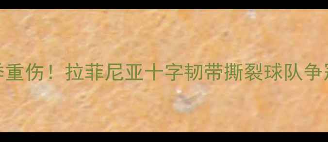 图片 巴萨核心球员赛季重伤！拉菲尼亚十字韧带撕裂球队争冠前景受严峻考验