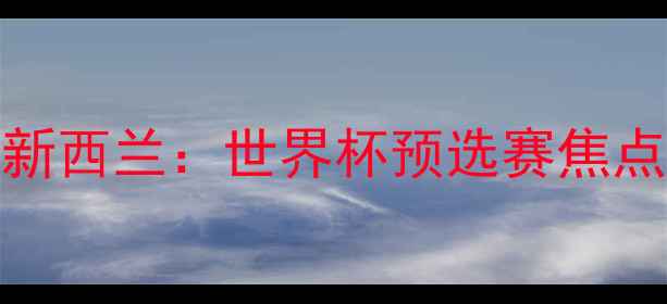 图片 巴西vs新西兰：世界杯预选赛焦点战深度