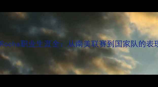 图片 巴西国脚Rocha职业生涯全：从南美联赛到国家队的表现与成就1