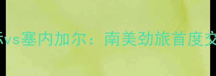 图片 巴西国际vs塞内加尔：南美劲旅首度交锋深度1