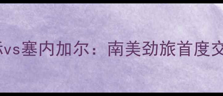 图片 巴西国际vs塞内加尔：南美劲旅首度交锋深度2
