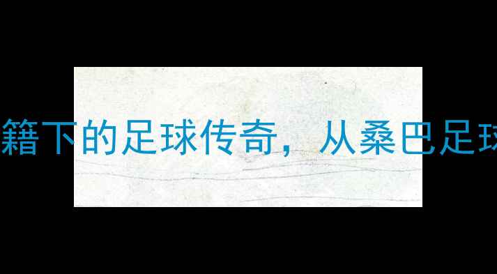 图片 巴西籍意大利球员：双重国籍下的足球传奇，从桑巴足球到意大利荣耀的成长之路2