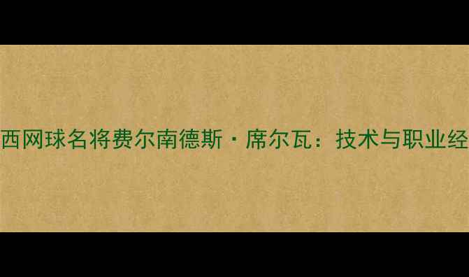 图片 巴西网球名将费尔南德斯·席尔瓦：技术与职业经历