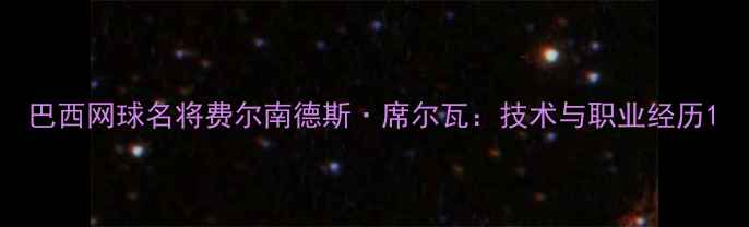 图片 巴西网球名将费尔南德斯·席尔瓦：技术与职业经历1