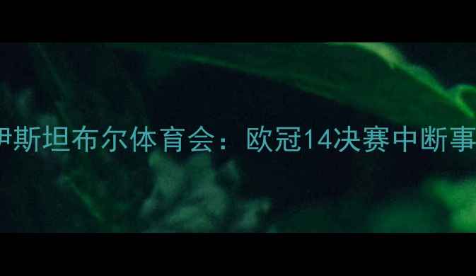 图片 巴黎圣日耳曼vs伊斯坦布尔体育会：欧冠14决赛中断事件全与后续影响2