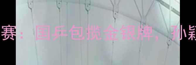 图片 巴黎奥运会乒乓球女单决赛：国乒包揽金银牌，孙颖莎王曼昱上演巅峰对决1