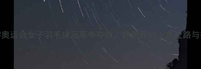 图片 巴黎奥运会女子羽毛球冠军争夺战：陈雨菲的王者之路与技术