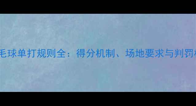 图片 巴黎奥运会羽毛球单打规则全：得分机制、场地要求与判罚标准深度解读1
