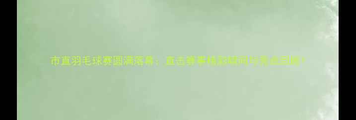 图片 市直羽毛球赛圆满落幕：直击赛事精彩瞬间与亮点回顾1