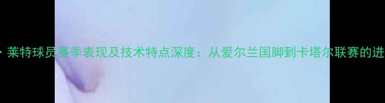 图片 布莱恩·莱特球员赛季表现及技术特点深度：从爱尔兰国脚到卡塔尔联赛的进化之路1