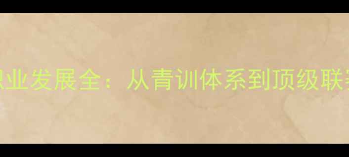 图片 布鲁克球员职业发展全：从青训体系到顶级联赛的成长密码