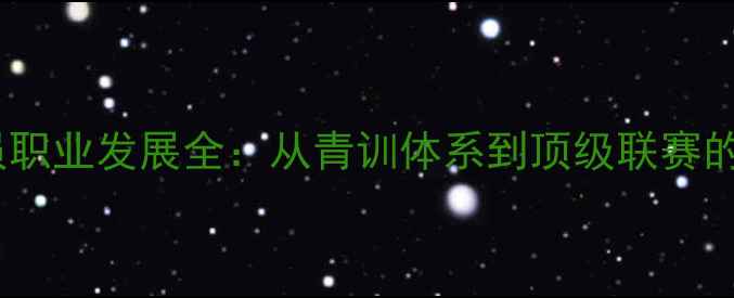 图片 布鲁克球员职业发展全：从青训体系到顶级联赛的成长密码1