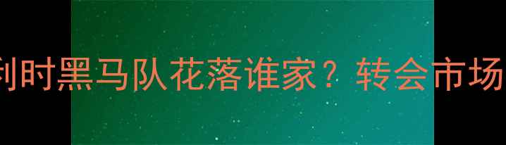 图片 布鲁日身价榜全比利时黑马队花落谁家？转会市场暗藏三大交易信号2