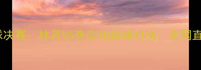图片 常州男单羽毛球决赛：林丹VS李宗伟巅峰对决，全网直击精彩战况！2