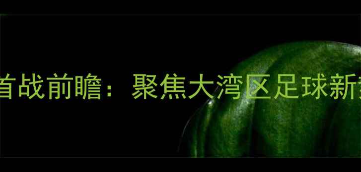 图片 广东大益队新赛季首战前瞻：聚焦大湾区足球新势力的发展与挑战1