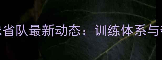 图片 广东羽毛球省队最新动态：训练体系与夺冠秘籍全