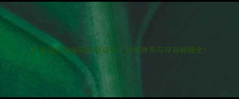 图片 广东羽毛球省队最新动态：训练体系与夺冠秘籍全1