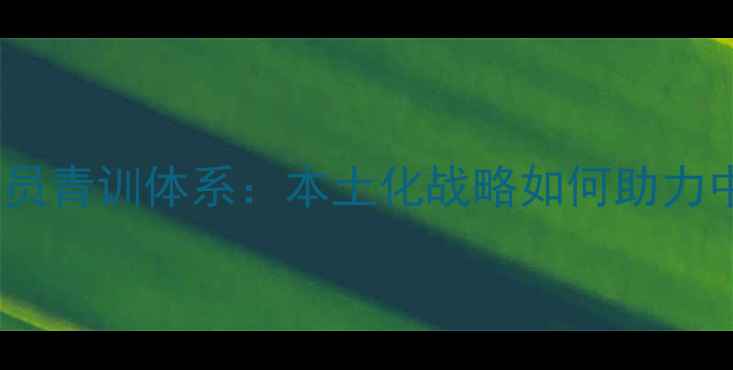 图片 广州富力本土球员青训体系：本土化战略如何助力中超球队崛起？1