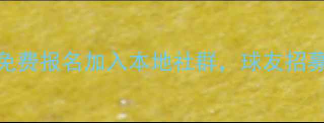 图片 广州番禺羽毛球爱好者聚集地：免费报名加入本地社群，球友招募中！最新活动+训练技巧全攻略1