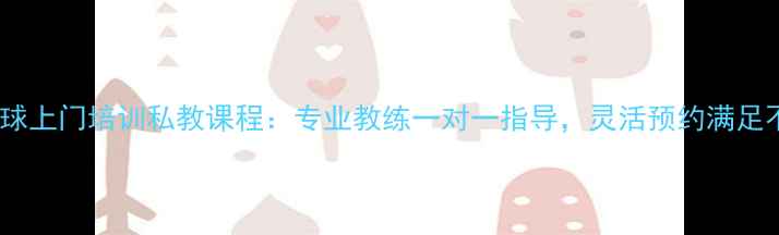 图片 广州羽毛球上门培训私教课程：专业教练一对一指导，灵活预约满足不同需求2
