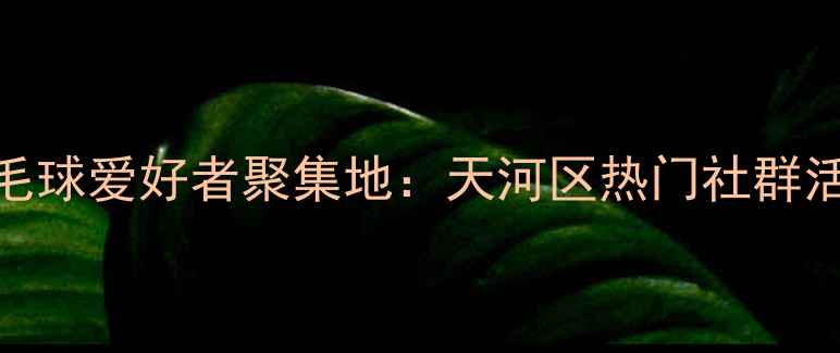 图片 广州羽毛球爱好者聚集地：天河区热门社群活动指南