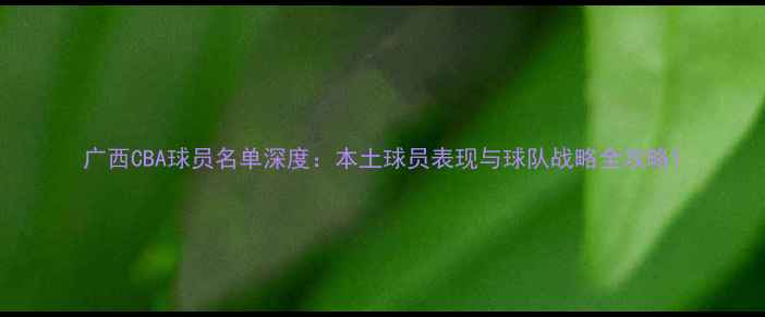 图片 广西CBA球员名单深度：本土球员表现与球队战略全攻略1
