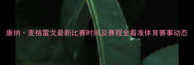 图片 康纳·麦格雷戈最新比赛时间及赛程全看准体育赛事动态