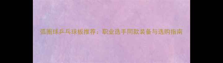 图片 弧圈球乒乓球板推荐：职业选手同款装备与选购指南
