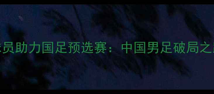图片 归化球员助力国足预选赛：中国男足破局之路实战
