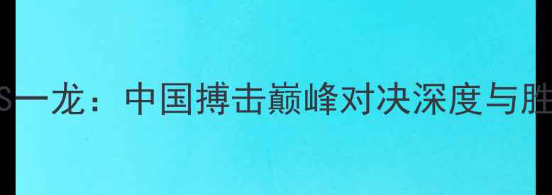 图片 徐晓东VS一龙：中国搏击巅峰对决深度与胜负预测2