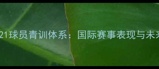 图片 德国U21球员青训体系：国际赛事表现与未来展望
