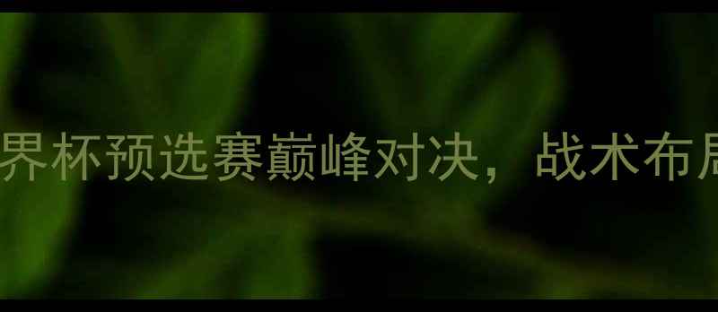 图片 德国vs乌克兰：世界杯预选赛巅峰对决，战术布局与历史交锋深度2