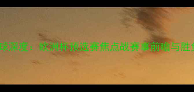 图片 德国vs瑞典滚球深度：欧洲杯预选赛焦点战赛事前瞻与胜负关键全解读2