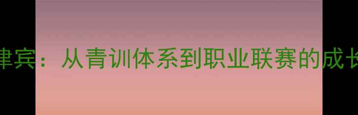图片 德国球员留洋菲律宾：从青训体系到职业联赛的成长之路（附深度）