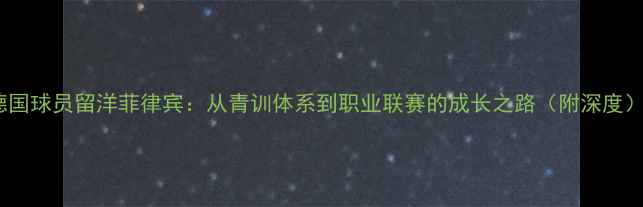 图片 德国球员留洋菲律宾：从青训体系到职业联赛的成长之路（附深度）1