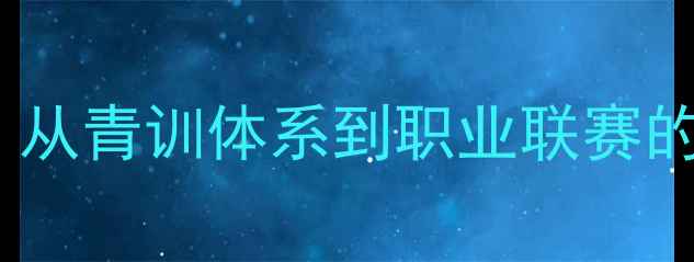 图片 德国球员留洋菲律宾：从青训体系到职业联赛的成长之路（附深度）2