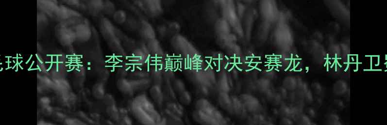 图片 德国羽毛球公开赛：李宗伟巅峰对决安赛龙，林丹卫冕全满贯