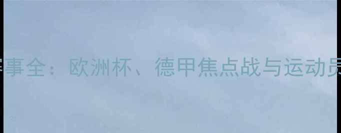 图片 德国足球赛事全：欧洲杯、德甲焦点战与运动员表现分析1