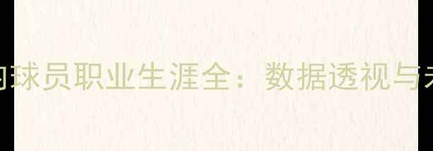 图片 德布劳内球员职业生涯全：数据透视与未来展望