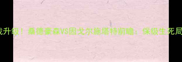 图片 德甲保级战升级！桑德豪森VS因戈尔施塔特前瞻：保级生死局+历史恩怨