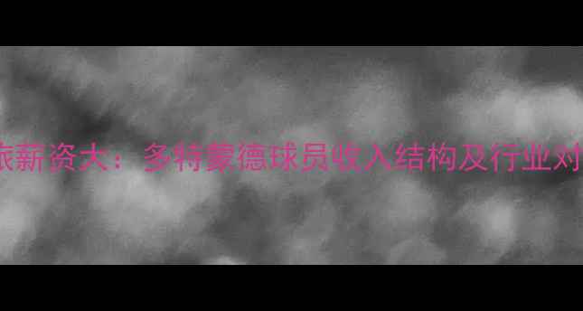 图片 德甲劲旅薪资大：多特蒙德球员收入结构及行业对比分析1